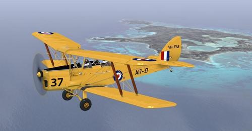 Ants_De_Havilland_Tiger_Moth_Version_1.1_FSX_1