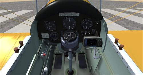 Ants_De_Havilland_Tiger_Moth_Version_1.1_FSX_44