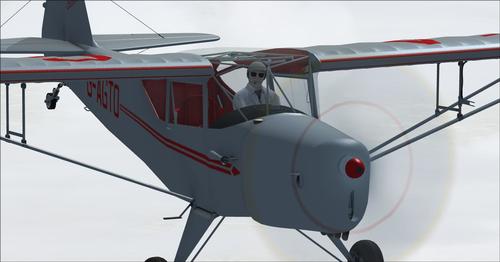 Auster_J1_Autocrat_FSX_&_P3D_22