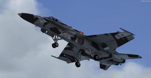 Boeing_FA-18c_Hornet_Multi-livery_FSX_P3D_22