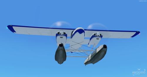 Dornier_Do_28_FSX_P3D_33