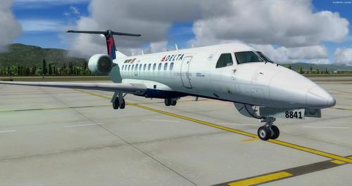 Embraer_ERJ_135_Multi-livery_FSX_P3D_1