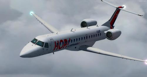 Embraer_ERJ_145_Multi-livery_FSX_P3D_22