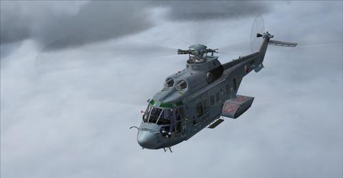 Eurocopter_AS332_French_Army_FSX-Ac_FSX-Steam_33