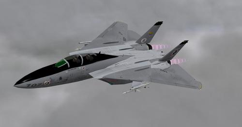 F14D_Tomcat_X-Plane_10_33