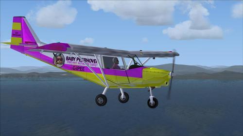 I.C.P_Savannah_Version_3.7_for_FSX_33