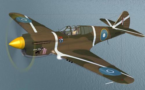 IRIS_P-40_Warhawk_FSX_1