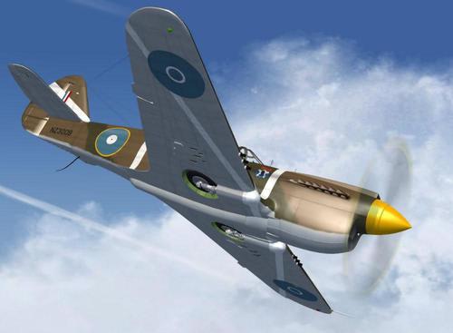 IRIS_P-40_Warhawk_FSX_33