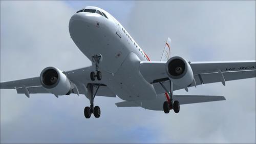 PA_Airbus_A318-112_CJ_Elite_Saudi_RCA_FSX_33