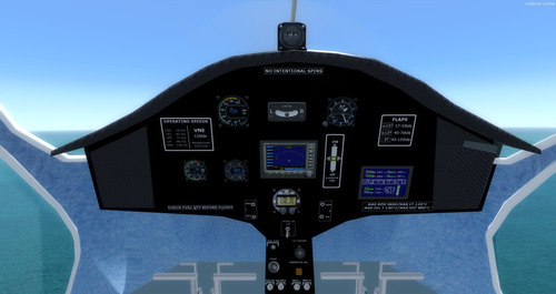 Pipistrelle_Virus_SW_80_FSX_P3D_44