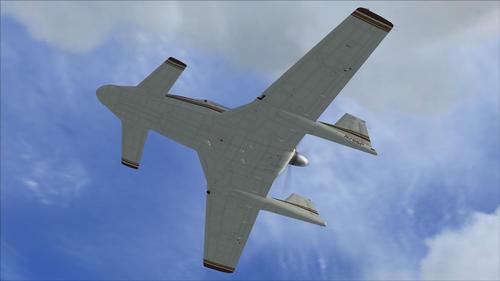 Sus_Scrofa_SS-4P_FSX_33