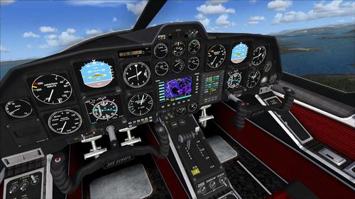 Sus_Scrofa_SS-4P_FSX_44