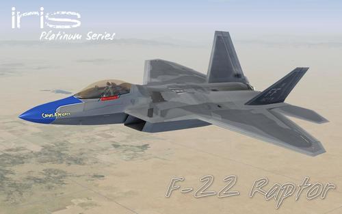 Virtavia_F-22A_Raptor_22